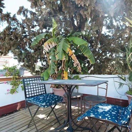 Penthouse Private Terrace, Near Cathedral, And To Real Maestranza セビリア