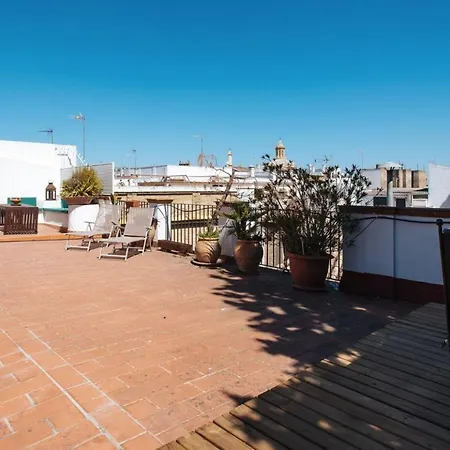 Apartment Penthouse Private Terrace, Near Cathedral, And To Real Maestranza